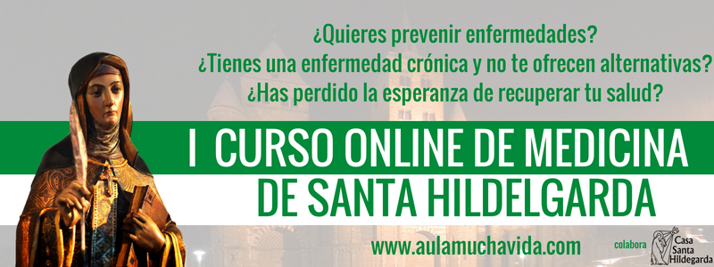 I-CURSO-ONLINE-DE-MEDICINA-2