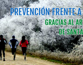 PREVENCIÓN FRENTE A LOS VIRUS