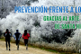 PREVENCIÓN FRENTE A LOS VIRUS