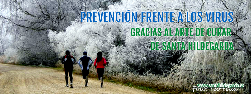 imgs_posts_prevencion_frente_virus